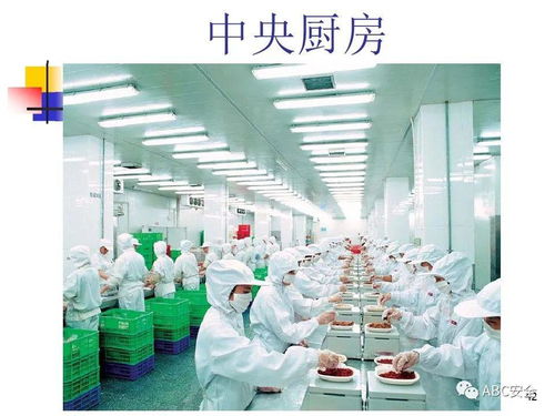 食品安全法與餐飲服務 筑牢健康防線，守護“舌尖上的安全”