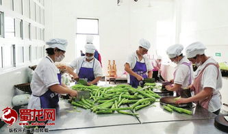 綿陽市“明廚亮灶”工程成效顯著，餐飲服務單位覆蓋率突破75.5%