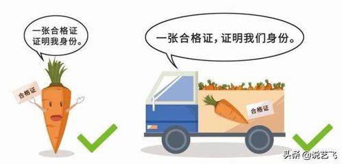 武漢開出首批食用農(nóng)產(chǎn)品電子合格證 科技賦能守護(hù)“舌尖上的安全”