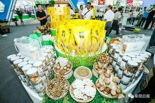 阜陽名優(yōu)農(nóng)產(chǎn)品閃耀合肥農(nóng)交會 近300種精品展現(xiàn)農(nóng)業(yè)強(qiáng)市風(fēng)采